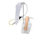 Модель верхней конечности новорожденного для освоения техники внутривенных инъекций