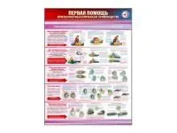 Стенд «Правила оказания первой помощи при несчастных случаях на производстве»