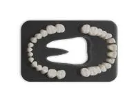 310_МУ0139_Комплект_28_модельных_зубов_З-28.1