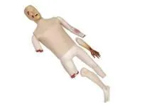 310_1005806 Тренажер мужской, женской 1