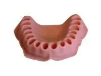 310_МУ0165_Эластичная_слизистая