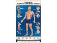 Электрифицированный стенд-тренажер «Травматизм и меры оказания первой помощи»