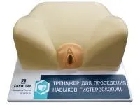 310_Тренажер_гистероскопии