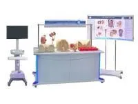 Лабораторно-диагностический учебный комплекс «Мочеполовая система»