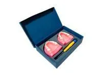 310_МУ0469_Денто-модель_детской_челюсти_ЧВН-24N_1