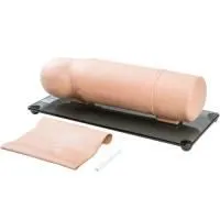 310_1012451 Тренажер для практики имплантации 1