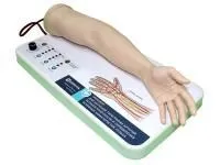 310_Тренажер_изучения_топографии_1