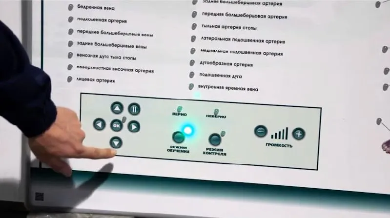 Интерактивный светодинамический стенд "Кровеносная система" — купить в МЕДСЕТ