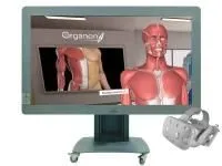 Виртуальный учебный комплекс «Анатомический атлас 4.0» 2