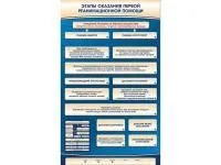 Электрифицированный стенд-тренажер «Этапы оказания первой реанимационной помощи»