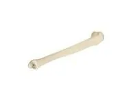 310_1005118 Берцовая кость, правая, ORTHOBone 1