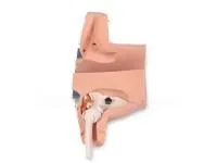 310_МУ0494 _Фантом_с_контроллером