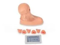 Тренажер для отработки навыков обследования уха с помощью отоскопа, с электронным контроллером. ВОЛОДЯ-ЛОР  2.0