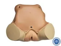 310_Тренажер_гинекологического_осмотра