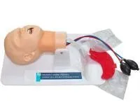 310_МУ0382_Фантом_головы_ребенка