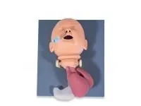 310_1017542 Симулятор ухода за пациентом Clinical Chloe ™ со скульптурными стомами 1