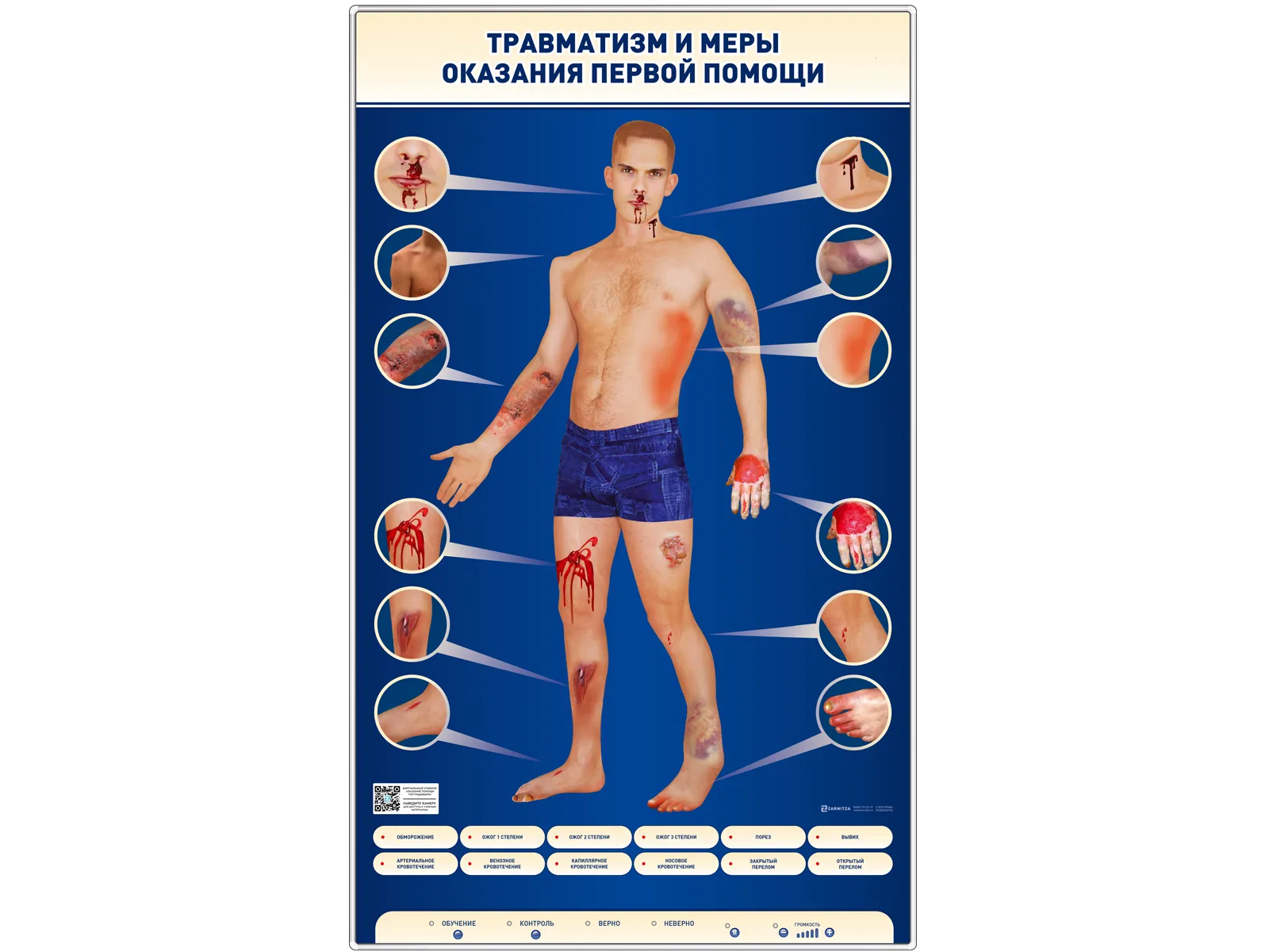 Электрифицированный стенд-тренажер "Травматизм и меры оказания первой помощи" — купить в МЕДСЕТ