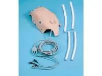 310_1017952 Комплект кожи 1