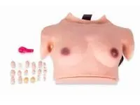 Модель исследования молочных желез (надеваемая)