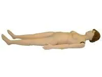 310_1017242 Тренажер для катетеризации, женский 3