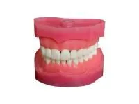 310_МУ0316_Денто-модель_ЧВН-28А