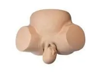 310_Фантом_реанимационный_торс