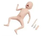 310_Симулятор_24_недельного_недоношенного_1