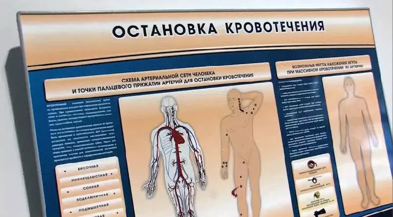 Электрифицированный стенд-тренажер "Остановка кровотечения" — купить в МЕДСЕТ