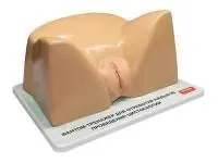 310_МУ0219_Тренажер_навыков_цистоскопии