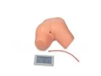 Тренажер для отработки навыков постановки клизмы ВОЛОДЕФ с электронным контроллером