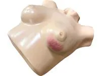 310_1017969 Тренажер Training Aids 3