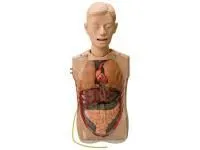 Манекен для отработки навыков промывания желудка