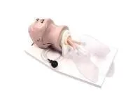 310_1005633 Тренажер для отработки интубации, голова