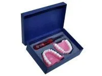 310_МУ0163_Денто-модель_ЧВН-32_1