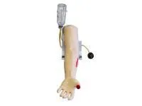 310_МУ0502_Фантом руки_для_обучения