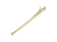 310_Композитная_локтевой