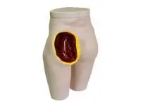 310_МУ0557_Тренажер_для_внутримышечных_инъекций_1