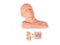 Тренажер для отработки навыков обследования уха ВОЛОДЯ-ЛОР ПРОФИ