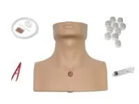 310_Тренажер_стернальной_пункции