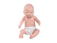 Модель по уходу за младенцем, мужская