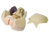 310_МУ0484_Акушерский_тренажер_1