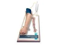 МУ0510_Тренажер_руки_для_пункции_вен