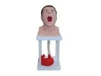 Тренажер зондирования и промывания желудка человека