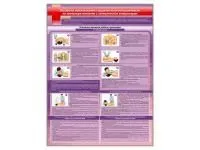 Стенд «Отработка приемов сердечно-легочной реанимации на тренажере-манекене с электрическим контроллером»