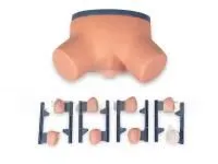 Тренажер для отработки навыков обследования и массажа предстательной железы (9 сменных модулей)