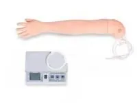 310_1018463 Lymph Node Training Model 1