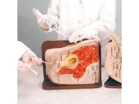 310_1017982 Тренажер Cath-Ed II 1