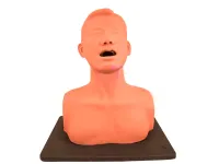 Тренажер для отработки навыков диагностики заболеваний голосовых связок (опухоли голосовых связок) ВОЛОДЯ-ЛОР ВОКАЛ #1