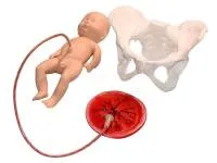 310_Учебно_демонстрационная_модель_1