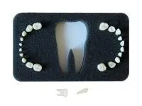 310_МУ0205_Комплект_20_временных_зубов_3-20Э